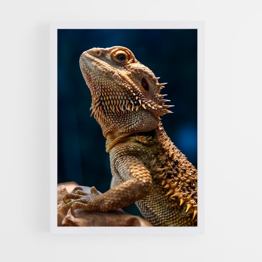 ap-bearded dragon-3 cadre Blanc