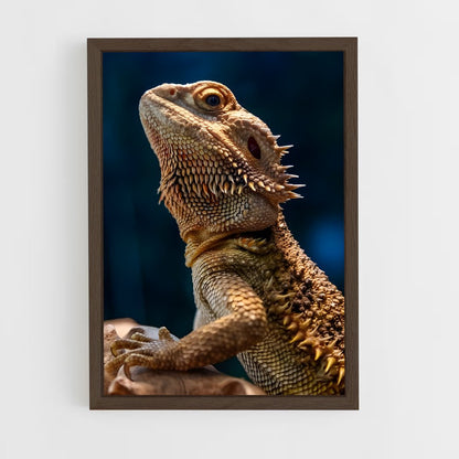 ap-bearded dragon-3 cadre Bois foncé
