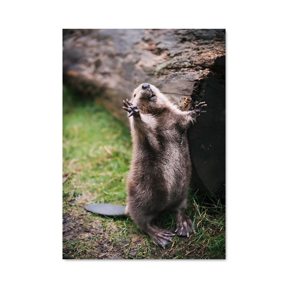 Poster Otterly Adorable