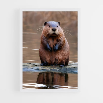 ap-beaver-6 cadre Blanc