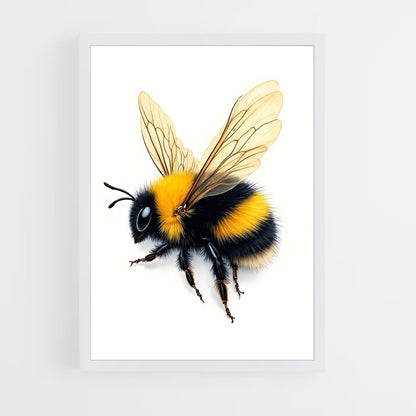 ap-bee-6 cadre Blanc
