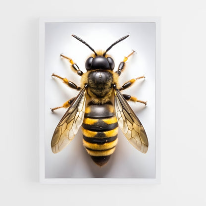 ap-bee-8 cadre Blanc