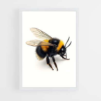 ap-bee-9 cadre Blanc