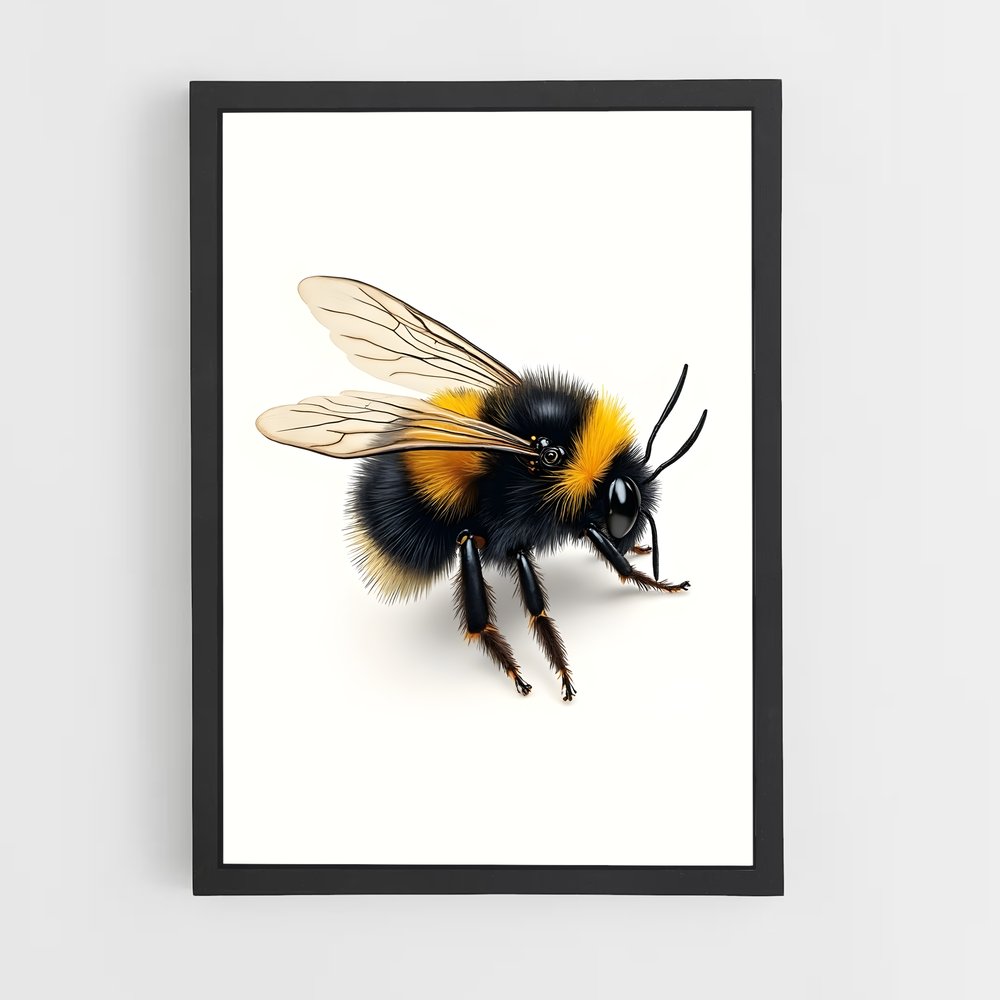 ap-bee-9 cadre Noir