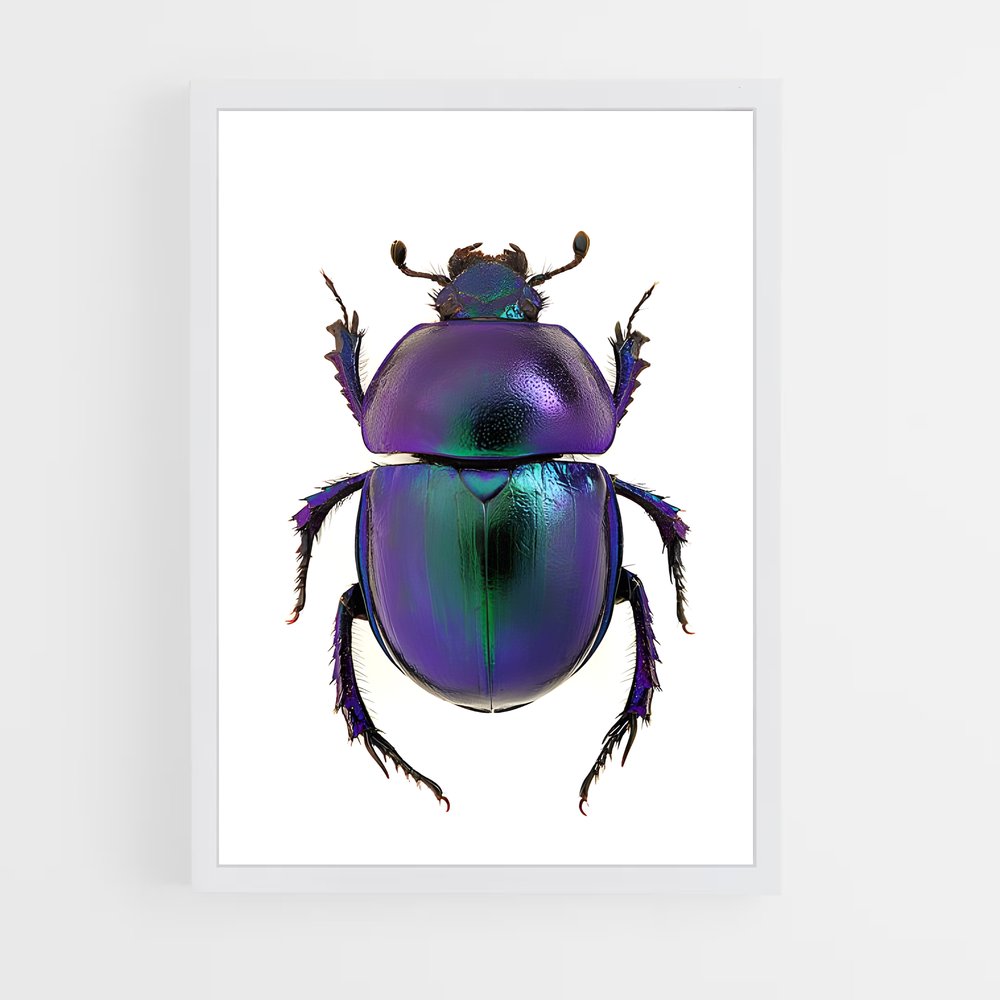 ap-beetle-1 cadre Blanc