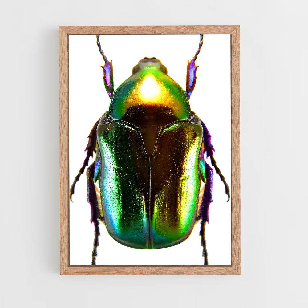 ap-beetle-5 cadre Bois clair