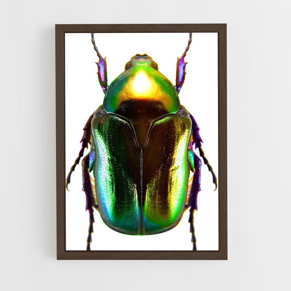 ap-beetle-5 cadre Bois foncé