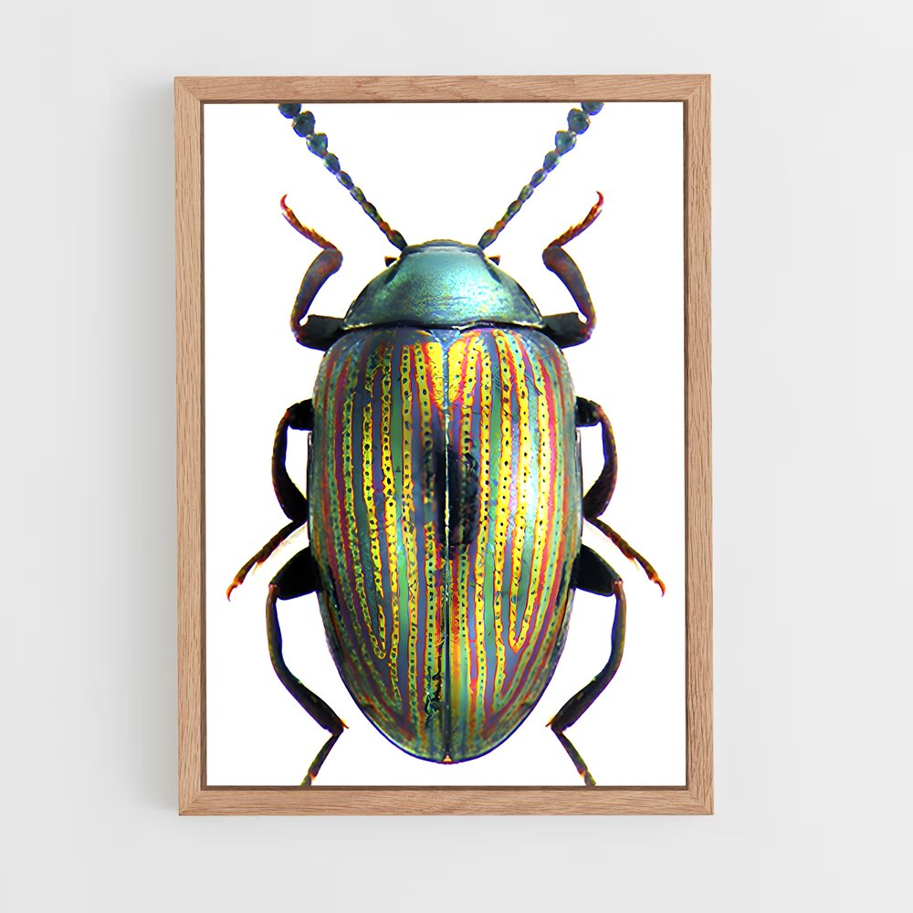 ap-beetle-6 cadre Bois clair