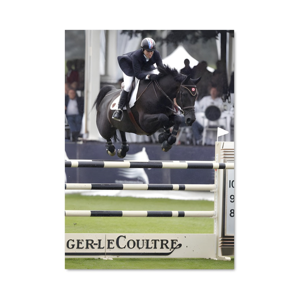 Poster Saut de Maîtrise