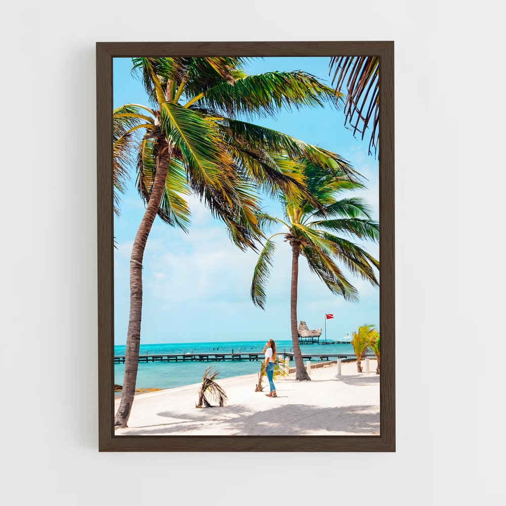 ap-belize city-4 cadre Bois foncé