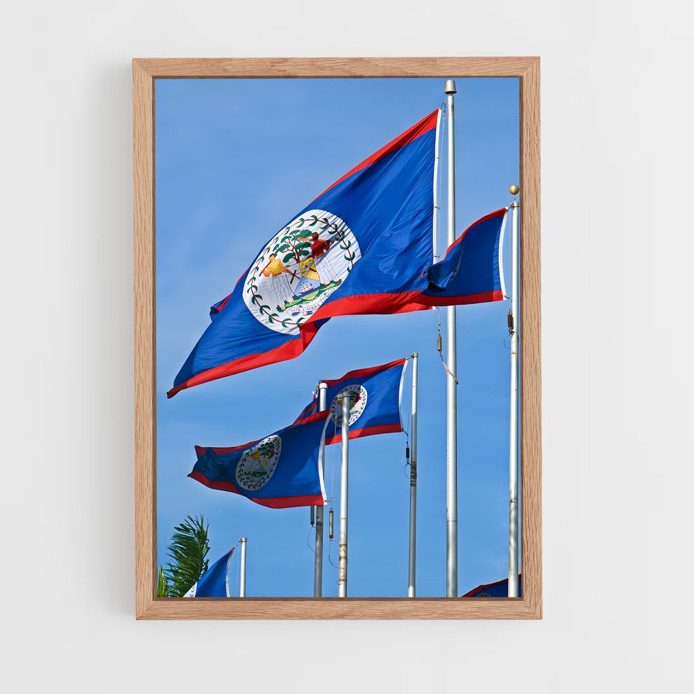 ap-belize flag-3 cadre Bois clair