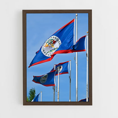 ap-belize flag-3 cadre Bois foncé