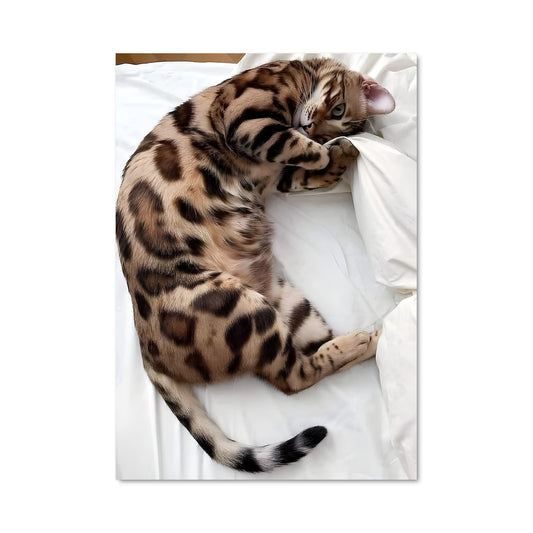 Poster Chat Douillet