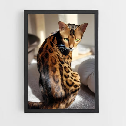ap-bengal-2 cadre Noir