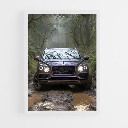 ap-bentayga-4 cadre Blanc