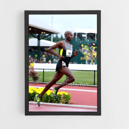 ap-bernard lagat-2 cadre Noir
