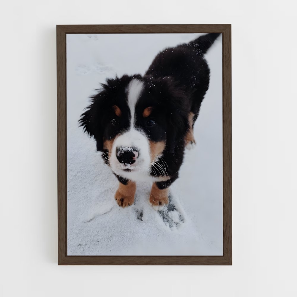 ap-bernese mountain dog-1 cadre Bois foncé
