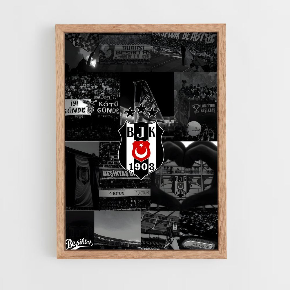 ap-besiktas jk-10 cadre Bois clair