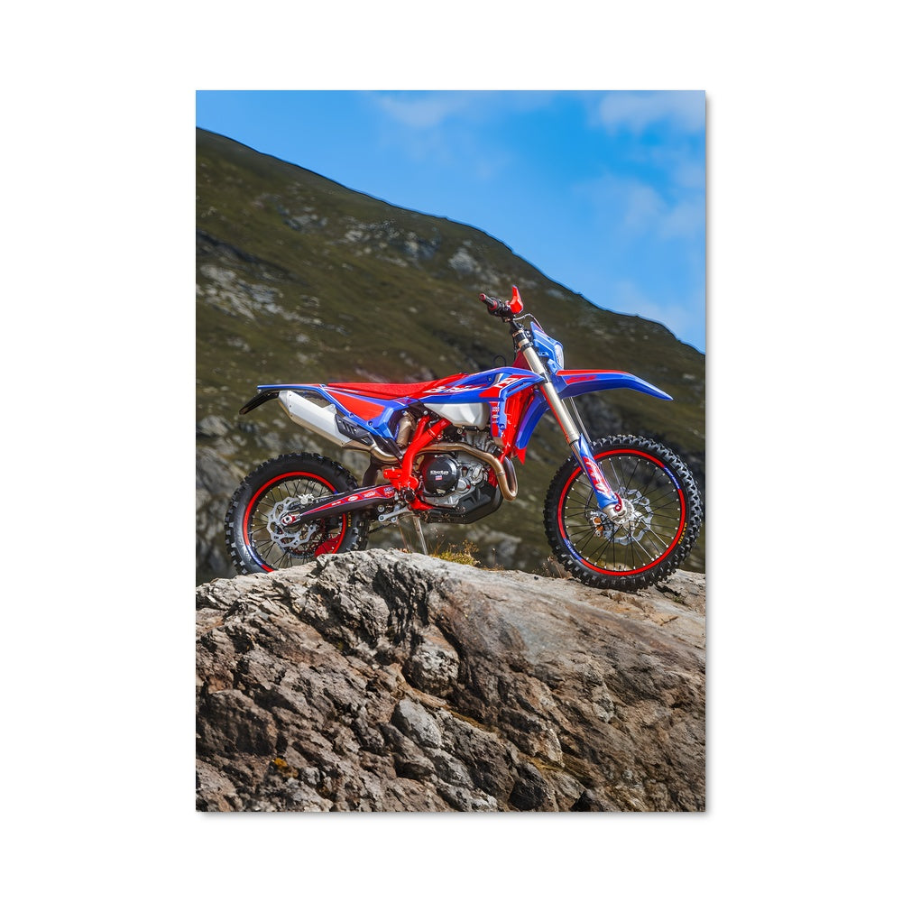 Poster Beta rr 81308