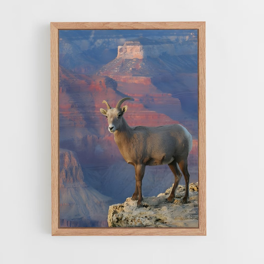 ap-bighorn sheep-5 cadre Bois clair