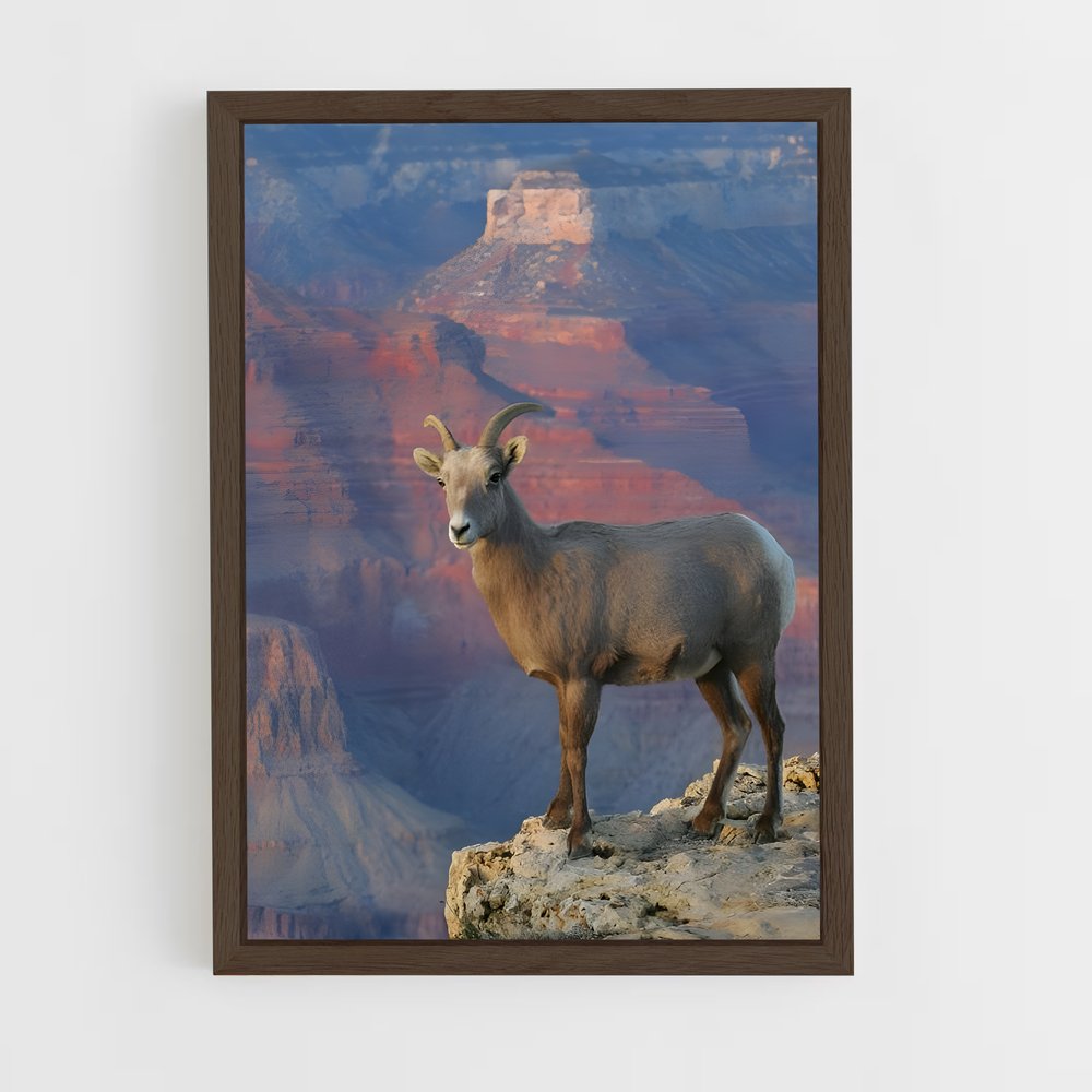 ap-bighorn sheep-5 cadre Bois foncé