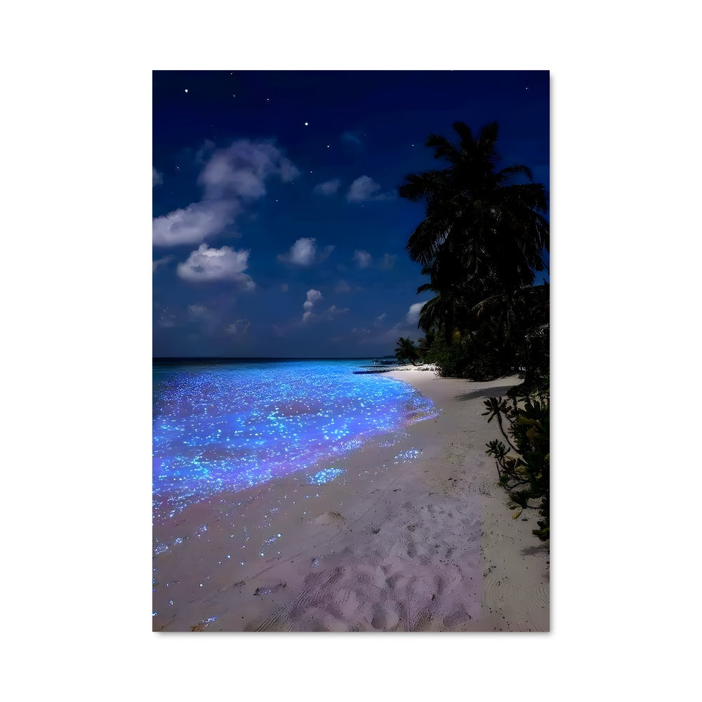 Poster Bioluminescent beaches 88680