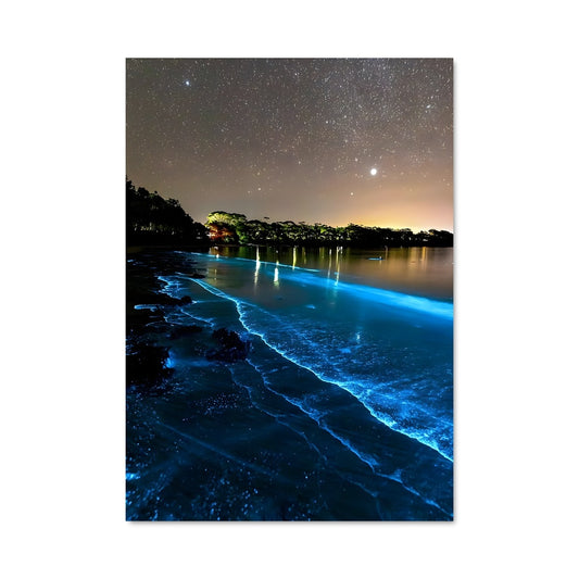 Poster Bioluminescent beaches 88695
