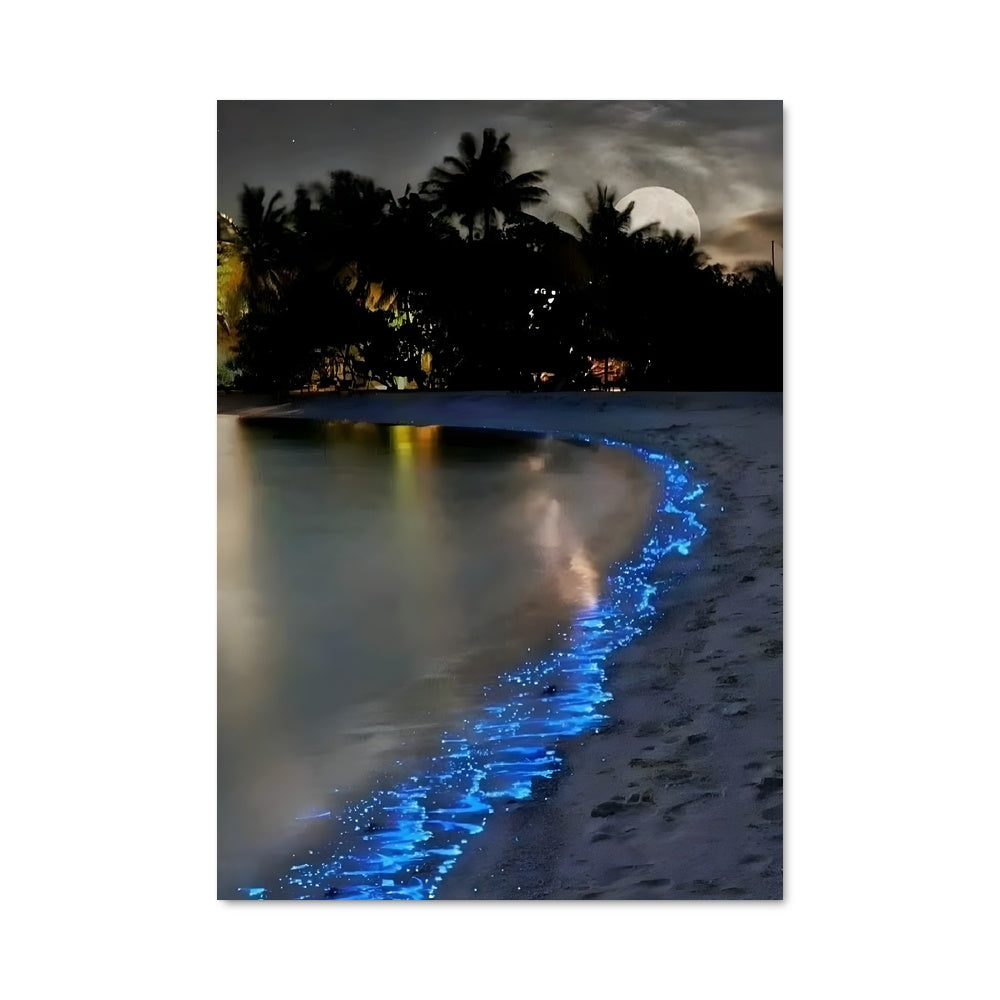 Poster Bioluminescent beaches 88677