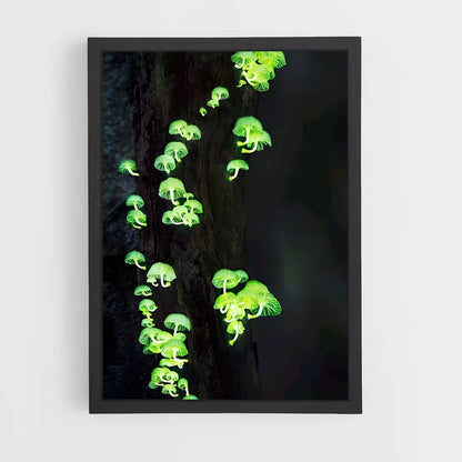 ap-bioluminescent mushroom-1 cadre Noir