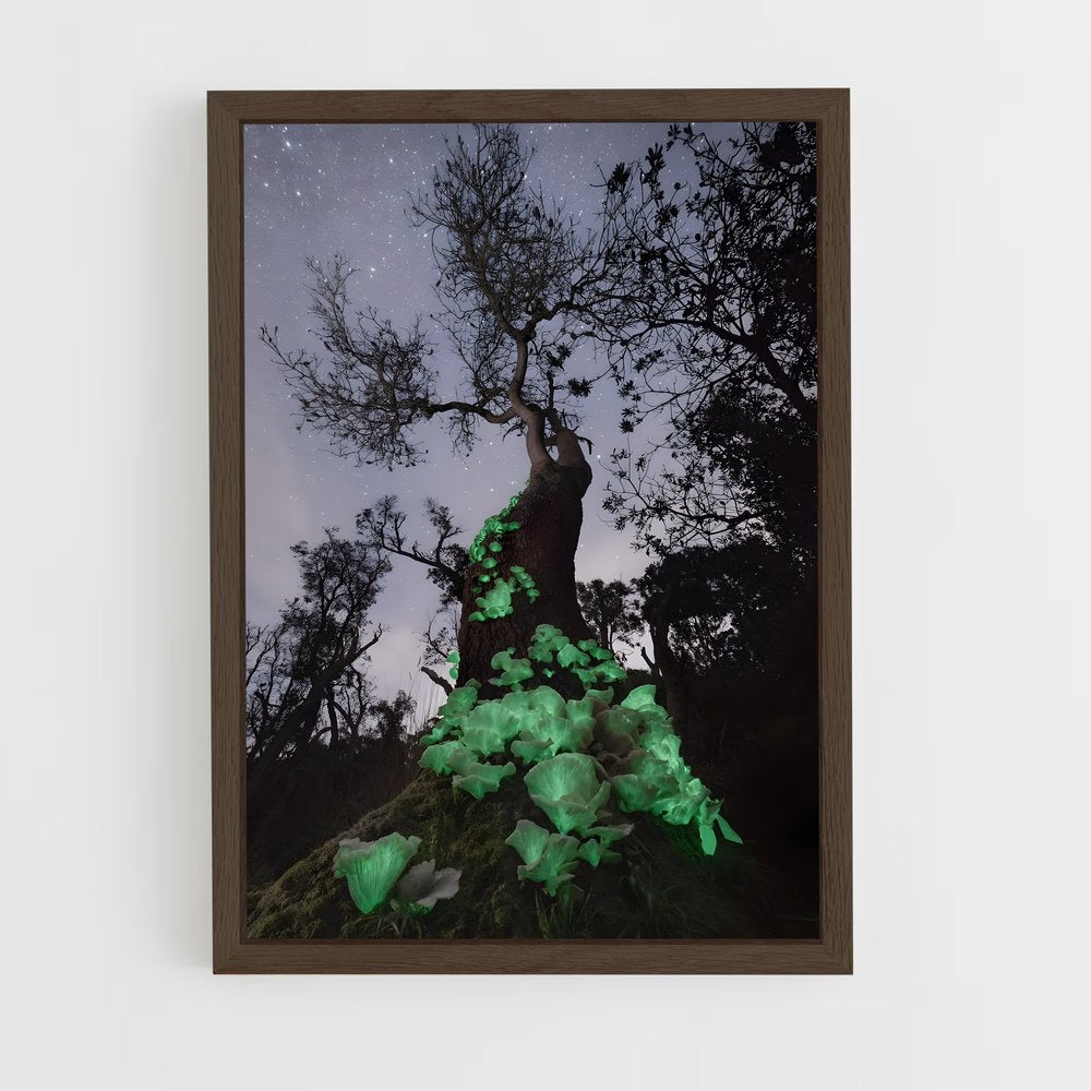 ap-bioluminescent mushroom-2 cadre Bois foncé