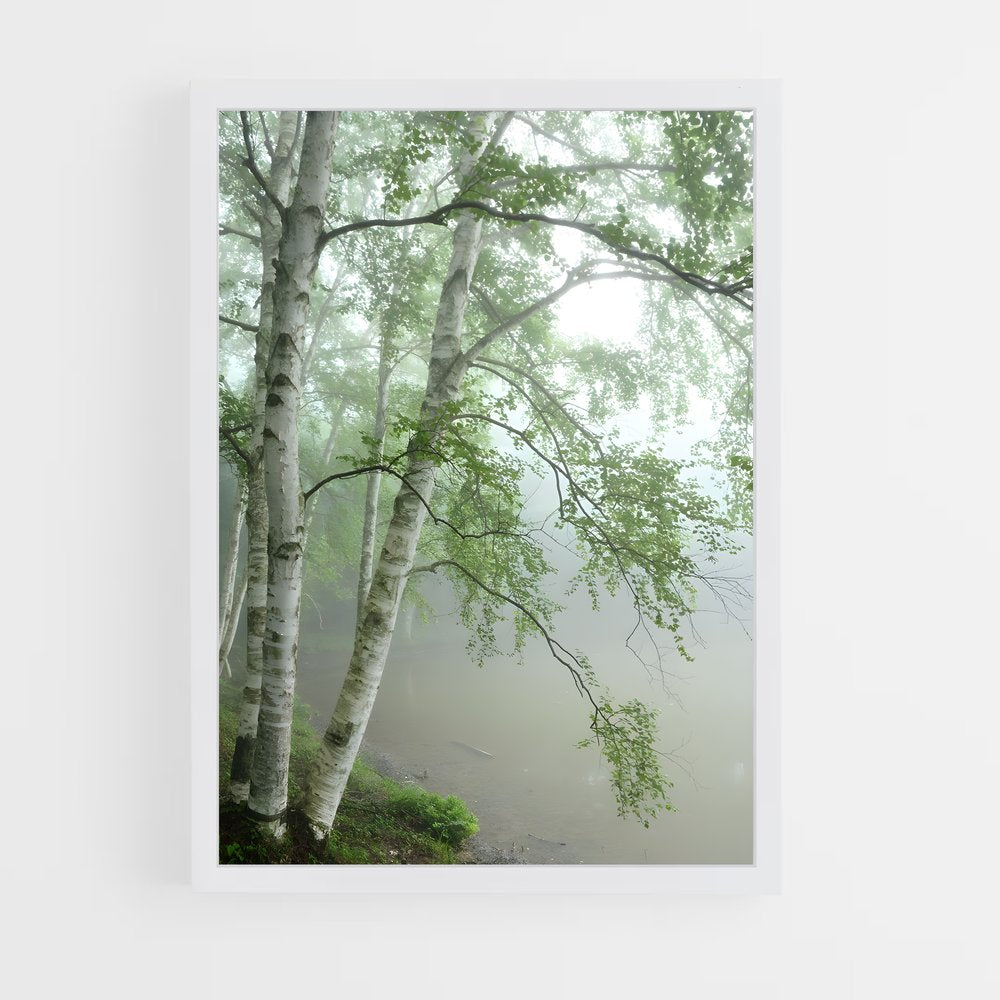 ap-birch-4 cadre Blanc