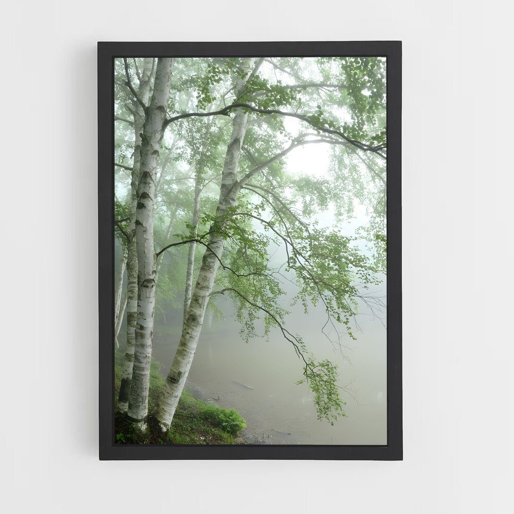 ap-birch-4 cadre Noir