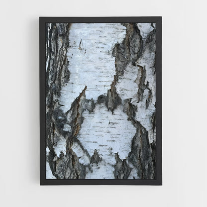 ap-birch-7 cadre Noir