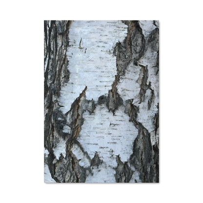 Poster Écorce Enchantée