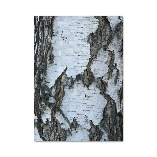 Poster Écorce Enchantée