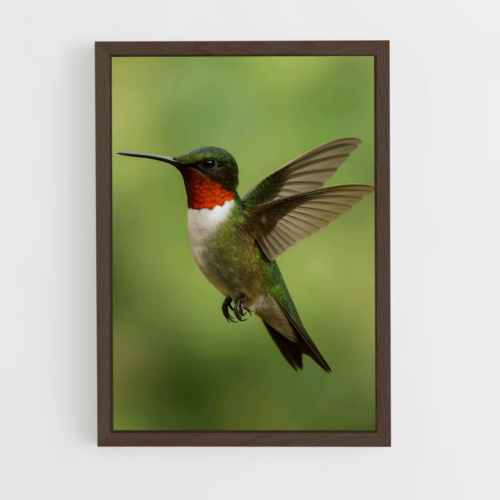 ap-bird-1 cadre Bois foncé