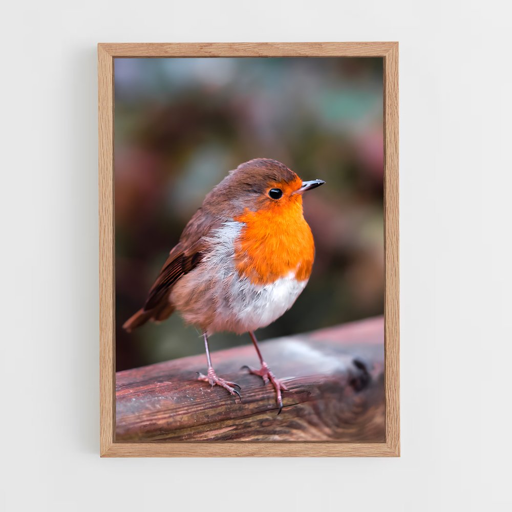 ap-bird-2 cadre Bois clair
