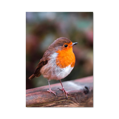 Poster Le Petit Oiseau