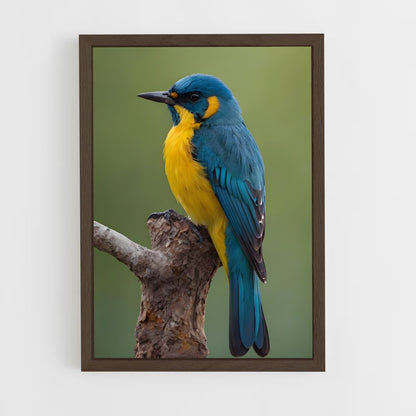 ap-bird-3 cadre Bois foncé