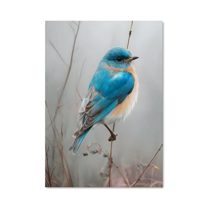 Poster Oiseau Azur