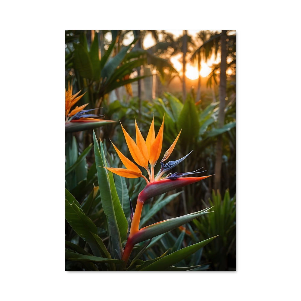 Poster Paradis Enchanté