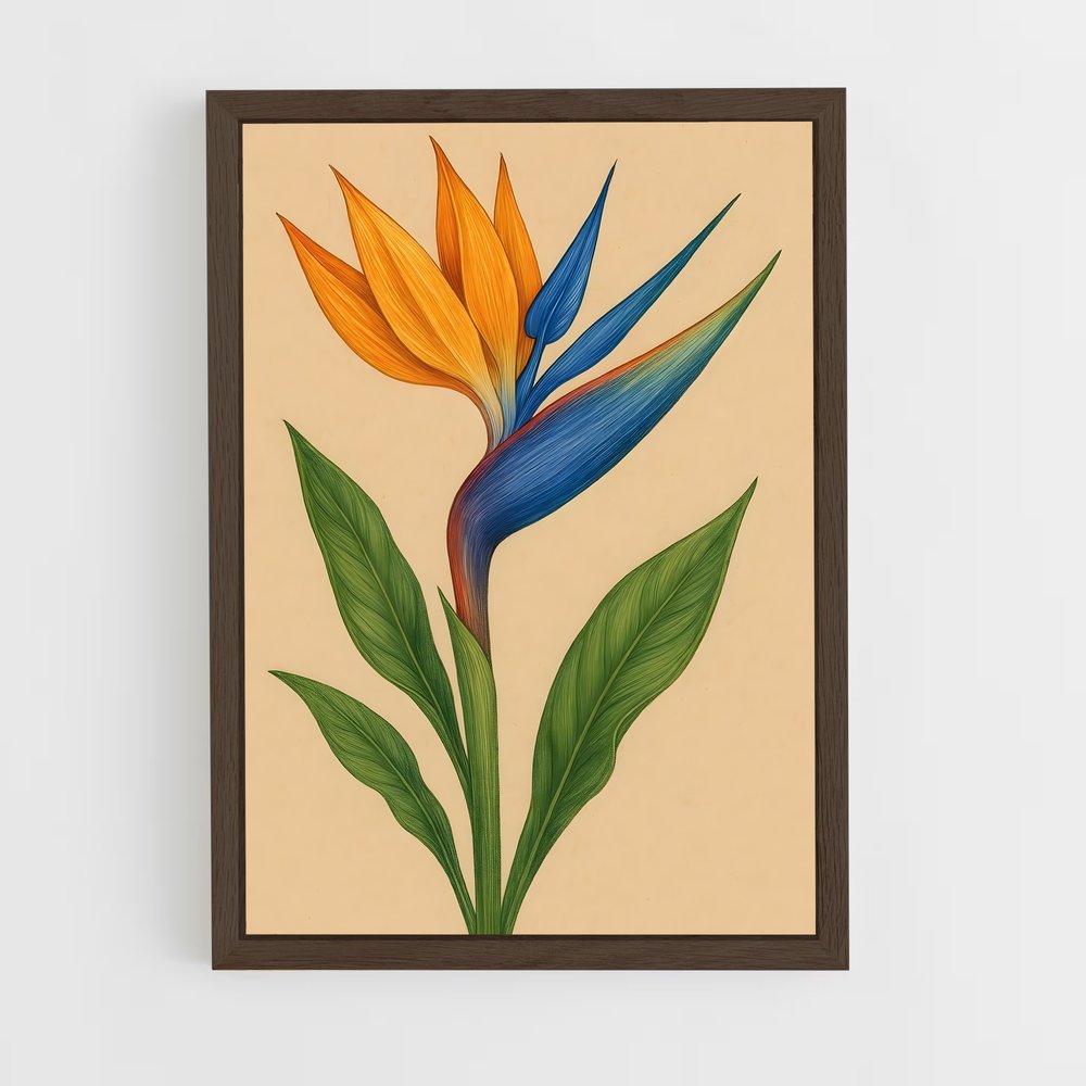 ap-bird of paradise-5 cadre Bois foncé