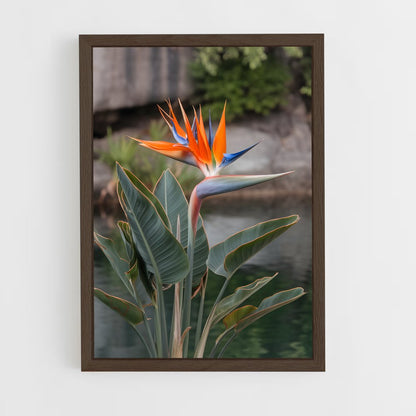 ap-bird of paradise-7 cadre Bois foncé