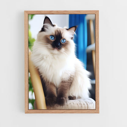 ap-birman-1 cadre Bois clair