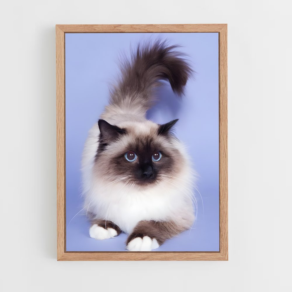 ap-birman-2 cadre Bois clair