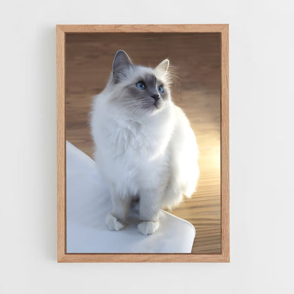 ap-birman-3 cadre Bois clair