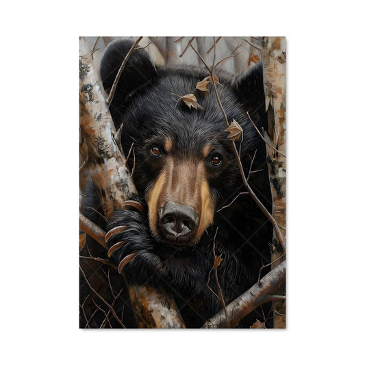 Poster L'Ours Équilibriste