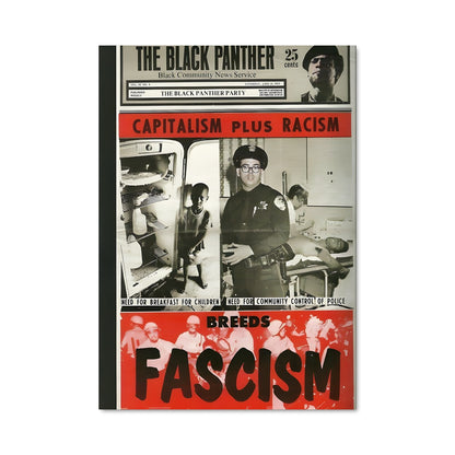 Poster Black panther party 14650