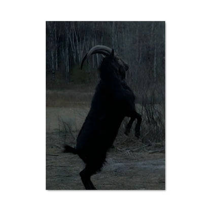 Poster Black Jumper