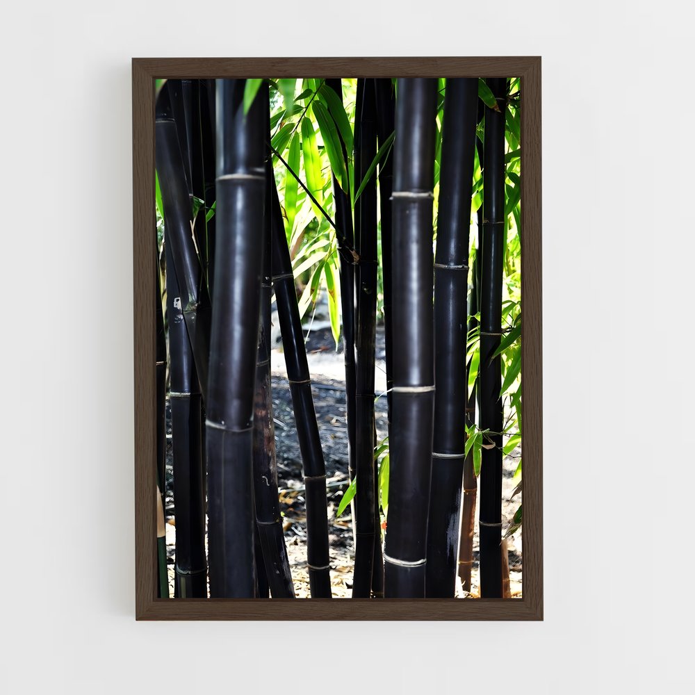 ap-black bamboo-1 cadre Bois foncé